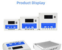 Anern 20A 30A PWM 12-24v Controlador De Carga Solar Doble Usb - details 9