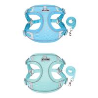 Correa para Mascotas Pequeñas Chaleco Transpirable Ajustable para Perros y Gatos - details 10
