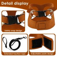 Conjunto de Correa y Lazo de Dragón de Barba de Cuero Suave Ajustable para Reptiles 3Pcs - details 2