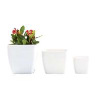 Sembradora de semillas, maceta de plástico para interior, contenedor para plantas, flor de jardín, maceta carnosa - details 7