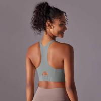 Sujetador Deportivo de Una Pieza sin Costuras A Prueba de Golpes para Yoga, Correr, Fitness - details 44
