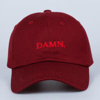 Gorras DAMN Embordadas de Tierra Gorra de Béisbol Hip Hop para Primavera-Verano Unisex - details 3
