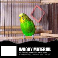 Juguetes de madera para loros, soporte de escritorio para pájaros, percha Natural para mesa, patio de juegos, periquito, Oficina - details 0