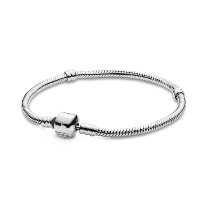 Elegante Pulsera de Cadena de Hueso de Serpiente de Plata de Ley 925 Novedad de Verano 2024 - 1
