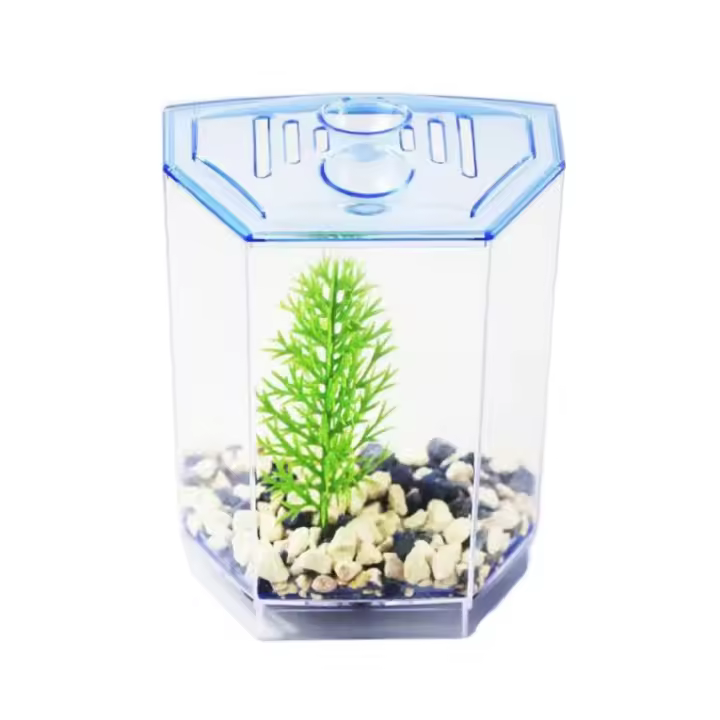 Caja de aislamiento transparente de plástico Betta para pecera con hierba de agua, rejilla única/doble, cría de peces - 1
