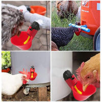 Bebedero automático para pollos de 2/4/6 uds, cuencos para beber, alimentador de agua de codorniz para pájaros, bebedero, vasos de agua para pollos para patio trasero, granja, aves de corral - details 5