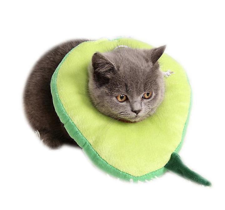 Abacate Elizabeth Circle ajustable, picadura antiarañazos