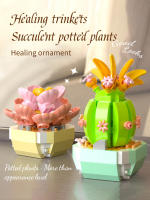 Micro particle building block simulation succulent small potted plant bouquet ornaments for children's assembled building block - details 2