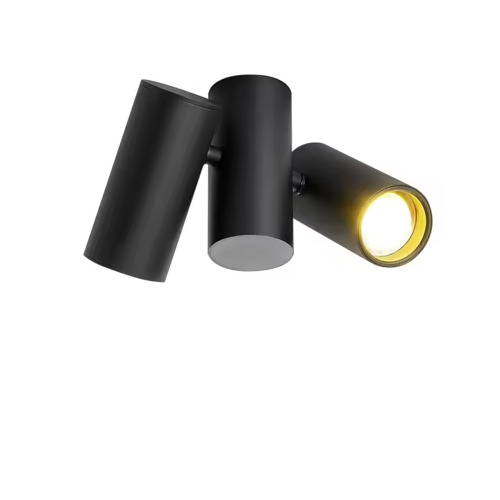 CBJKTX Lámpara de techo 2 focos de techo negros - GU10 Moderno metal giratorio 180 ° Interior MAX.25W para Pasillo Dormitorio Cocina - 1