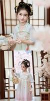 Hanfu-vestido de gasa bordado de estilo nacional Tang, manga corta, antiguo, súper inmortal, verano, 2025 - details 3