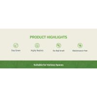 product highlights