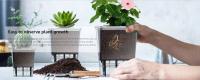 Maceta de flores transparente para jardín, maceta de plástico con autorriego, macetas transparentes para plantas de interior - details 0