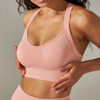 Hamidou-Top Sexy para mujer, sujetadores deportivos para Yoga, Fitness, belleza, espalda elástica, transpirable, ropa interior femenina, Tops - details 7