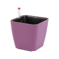 Flores resistentes a la intemperie en espacios pequeños ETA, autoirrigación duradera ETA S Beauty para plantas de jardín - details 4
