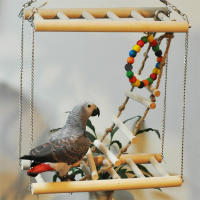 Juguete pequeño para loros y ratas, accesorios para jaulas de pájaros. - details 4
