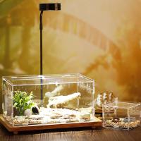 Contenedor acrílico profesional para lagarto, ranas, incubadora de insectos, terrarios, caja de cría, incubadora de reptiles, suministros para insectos - details 2