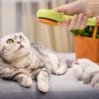 Peines de cepillo para gato para interior, aguja de masaje agradable para la piel, piel matada, mascotas - details 5