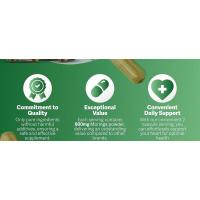 Rosabella Cápsulas Polvo puro de moringa, energía, piel, superalimento para la salud intestinal inmune, rico en antioxidantes, vitaminas esenciales y - details 3