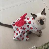 vestido de conejo con corbata para mascotas hermoso para verano vestido de fiesta para pequeños animales de estilo casual - details 6