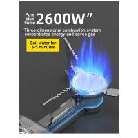 Estufa de Gas Portátil de Acero Inoxidable 2670W, Quemador de Gas para Picnic al Aire Libre, Cocina de Viaje, Cocina a la Parrilla, Sistema de Calefacción - details 12