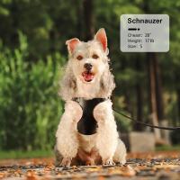Correa de Tiro de Cuero PU para Perros Conjunto de Correa de Pecho para Gatos, Longitud de 5 Pies, Chaleco para Caminar - details 20