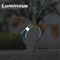 HOOPET-Chaleco con correa para gato, arnés ajustable de malla transpirable para exteriores, tirantes para el pecho, Collar impermeable - details 12
