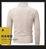 Nuevo suéter de cuello alto de invierno para hombre, suéter tejido informal para hombre, jerséis de Fitness para mantener el calor, Tops - details 13
