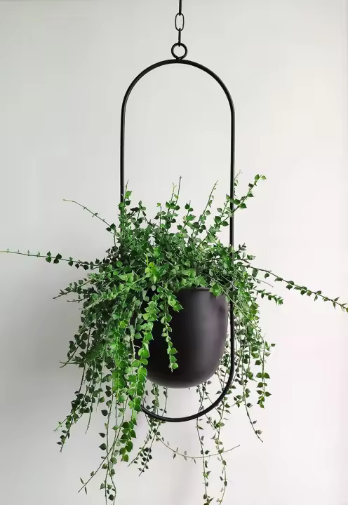 Colgador de plantas de Metal negro, maceta colgante de pared y techo, maceta moderna para interior y exterior, decoración del hogar - 1