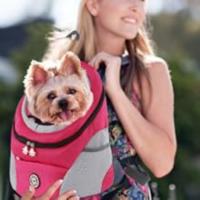 mochila para perros
