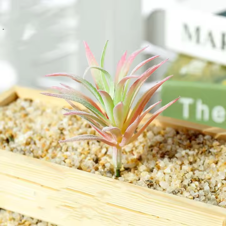 Plantas suculentas artificiales de PVC, Mini plantas artificiales flocadas realistas, bricolaje, decoración del hogar - 1
