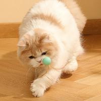 Juguete Interactivo para Gatos Bola Elástica Colorida con Pluma Diversión Interior para Tu Gato - details 4