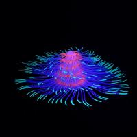 Acuario de silicona para paisajismo, plantas acuáticas artificiales coloridas con efecto fluorescente, árbol de Navidad suave, Coral, mesa - details 4