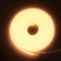 XUNATA Cinta LED Flexible de 220V COB Neón 288leds/M con Enchufe EU Impermeable para Exteriores RA90 3000K-6000K Estilo Moderno Potencia 7-9W/M - details 5
