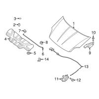 Soporte de Capó Delantero para Nissan Sentra 2007-2012 Barra de Torsión de Auto Cubierta de Capó - details 6