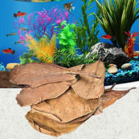 Hojas de olivo naturales de 50 piezas, mejora la calidad del agua y la estabilización, adecuadas para decoraciones de acuario - details 1