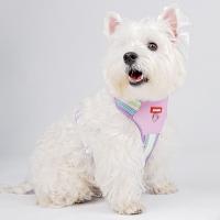Conjunto de arnés y correa ajustable para perro, chaqueta de malla suave acolchada para gato, arnés transpirable con cuerda de tracción, juego de correa y collares para perro - details 2