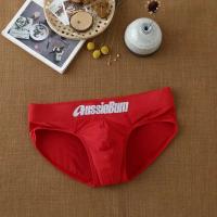 Calzoncillos de hombre de seda de leche, bolsa elástica de cintura baja, cerca del cuerpo, cómodo aussiebum - details 8