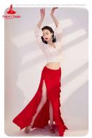 Baile de tres mujeres, blusas y faldas de gasa de manga larga, trajes de danza del vientre oriental para niñas - details 29