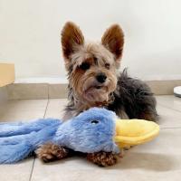 Juguete de Peluche de Pato Amarillo Juguete Interactivo para Entrenamiento de Mascotas - details 6
