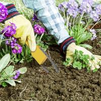 Herramienta de desmalezado Garden Bandit para jardinería Herramientas para aflojar el suelo plantar y desmalezar - details 3
