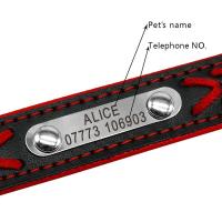 grabado perro, collares trenzados etiqueta identificación, placa con nombre, Collar personalizado mascotas, correa caminar de - details 1