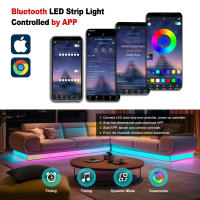 GAHADA Tira LED WS2811 Impermeable IP68 24V 60LEDs/m Controlador Bluetooth WiFi Kit de Potencia - details 11