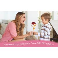 rosas eternas natural en cristal rosa preservada bella y bestia regalo de san valentin para novia