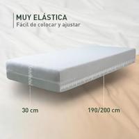 elastica