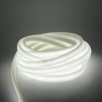 Tira de luces LED COB regulable, cinta de luz de neón, enchufe de la UE, 288 K, 3000K, 4000K, AC220V, CRI RA90, para jardín al aire libre, 6000 LED/M - details 2