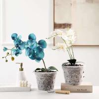Maceta de orquídea transparente de plástico para interiores y exteriores Phalaenopsis - details 1
