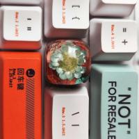 Teclado nical DIY, resina personalizada, chica bonita personalizada, teclas ESC, regalo, teclas individuales SA wer - details 5