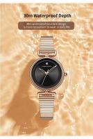 Premium lujo 2025 nuevo reloj de mujer marca superior ocio moda 29mm Mini esfera correa de malla de acero inoxidable nórdico Simple 3Bar relojes impermeables - details 6
