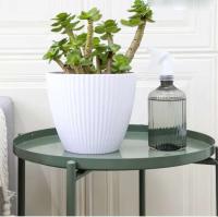 Macetas de cerámica de colores modernas para vivero de jardín, macetas de plástico para plantas de interior - details 7