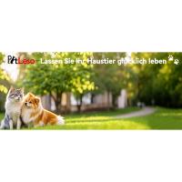 PETLESO Puerta para Perros para Mosquitera Fácil de Montar, Gateras para Gatos Puerta para Mascotas con Magnético y Bloqueable para Gatos/Perros (35 cm x 45,5 cm) - details 4